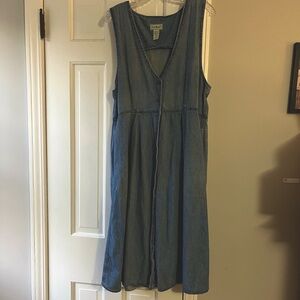 Vintage L..L. Bean Button up Denim Jumper